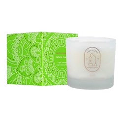 DISTILLERY Soy candle - tantalising - papaya punch